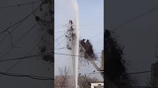 Birds Nest Destroyed By Fire Fighters TrendingShorts TrendingVideos ViralVideos [upl. by Boleyn]