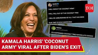 What Do Coconut Trees Have To Do With Kamala Harris Viral Trend After Biden Exit Explained [upl. by Novia]