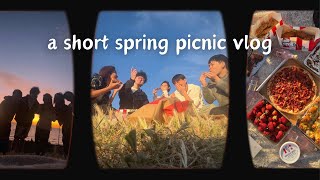 a short spring picnic vlog in melbourne [upl. by Reste]