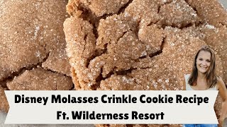 Molasses Cookies From Disney Fort Wilderness Resort [upl. by Magel]