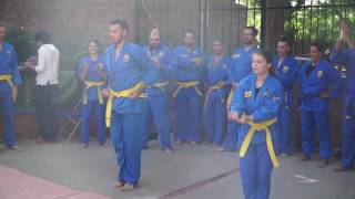 Vovinam Demo Forum 2016 [upl. by Leckie516]