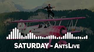 SATURDAY  AntsLive Most Populer Song [upl. by Eisenberg]