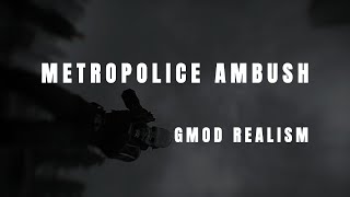 Metropolice Ambush [upl. by Rudiger]