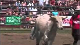 Junior Bull Riding from Sunday at the 2011 Upper Canada Rodeo [upl. by Amargo]