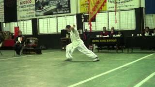 Torneo Hung Sing Kwoon 2013  Tiger and Panther Boxing 虎豹拳 Sifu Daniel Dottore [upl. by Trevor]