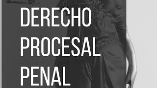 Tema 8 Derecho Procesal Penal [upl. by Gram]