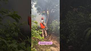 Fogging Nyamuk DBD [upl. by Ardath]