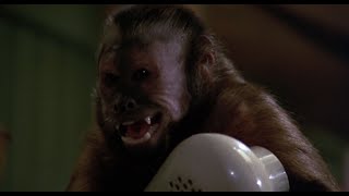 Monkey Shines 1988 Cinemassacres Monster Madness movie review [upl. by Almeida412]