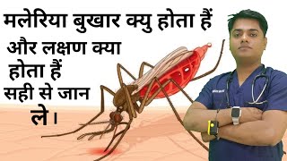 मलेरिया बुखार क्या होता है  मलेरिया के लक्षण क्या है  cause of malaria fever symptom of malaria [upl. by Ahsat]