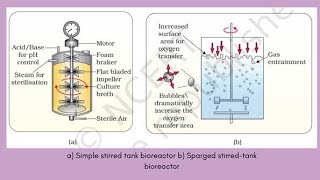 Continuous Stirred Tank Reactor CSTR Example [upl. by Yht]