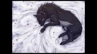 Anime Wolves Comatose [upl. by Fairfax]