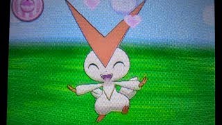 Victini in Pokémon Amie [upl. by Nyrhtak466]