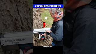 How This Device Check Health Of The Trees😱 [upl. by Breban]