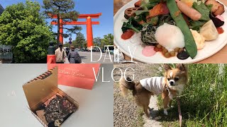 Daily Vlog 大阪北浜でランチ🍴平安神宮・岡崎公園スタバでお茶☕️お家で割れチョコ🍫 [upl. by Pietje]