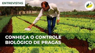 PROMIP  Conheça o Controle Biológico de Pragas TV Sítio [upl. by Oryaj]