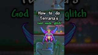 Terrarias working GOD MODE Glitch 14 [upl. by Nahtanoj]