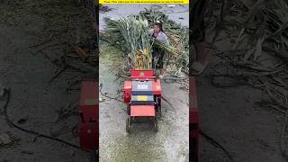 Chinas unique grass cutting machine😱 amazingfacts trending facts [upl. by Eniarol]