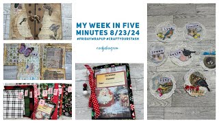 My Week in Five Minutes 82324 FridayWrapUp CraftYourStash [upl. by Arvad]