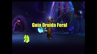 WoW Guía Druida Feral PVE 92 [upl. by Menis]