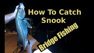 Night Bridge Fishing With Shrimp Catching Snook On Jigs [upl. by Wanyen248]