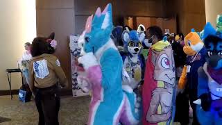 Anthro New England 2024 Fursuit Parade [upl. by Adala410]