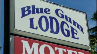 Motels  Christchurch  Blue Gum Lodge Motel  New Zealand [upl. by Louth]