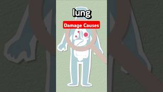 Top Causes of Lung Damage Youre probably Missing LungHealth lungdetox healthtips [upl. by Uhsoj]