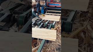 plywood manufacturing process 🪵🚪machine wood shorts [upl. by Nived]