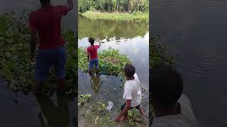 Village Pond Fishing Secrets Hook Fishing for Big Fish [upl. by Herta]