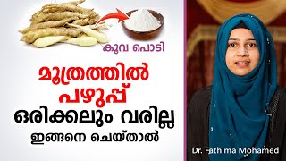 മൂത്രത്തിൽ പഴുപ്പ് ഒരിക്കലും വരില്ല ഈ കാര്യം ശ്രദ്ധിച്ചാൽ  Urinary Infection Malayalam [upl. by Ernie826]