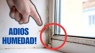 🔴 CONSEJOS Rápidos y Sencillos para ELIMINAR la HUMEDAD de tus Ventanas 🌧️🌧️ [upl. by Siulesoj888]