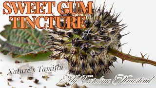 Natures Tamiflu Herbal Remedy [upl. by Truda]