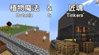 【Sky Bees 2】EP4 第4集 植物魔法amp匠魂 Botania amp Tinkers [upl. by Bank668]