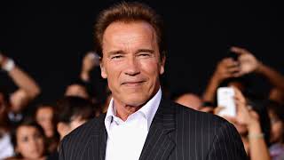 Enneagram analysis of Arnold Schwarzenegger Social 3 [upl. by Dare549]