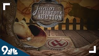 2022 National Western Stock Show Junior Livestock Auction [upl. by Krute]