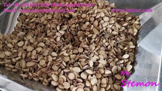 Herbal Pulverizing Machine  Licorice Root Powder Grinding Equipment  ACM Pulverizer Manufacturer [upl. by Sonitnatsok844]