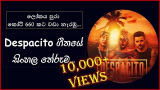 Despacito ගීතයේ සිංහල තේරුම  Despacito Song Meaning in Sinhala [upl. by Ranzini]