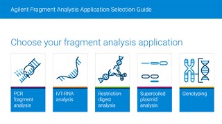 Confident Nucleic Acid Fragment Analysis for Your Applications with Automated Electrophoresis [upl. by Tench]