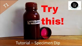 Make your own carp attractant cheap  Fishing Liquid [upl. by Nomolos]