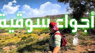 سوق أسبوعي ناضي هادا جا ف بلاصة واعرة تاونات العنصر Taounate Ghafsai alounsor [upl. by Harim]