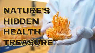 Cordyceps – Nature’s Hidden Health Treasure [upl. by Ellehcen]