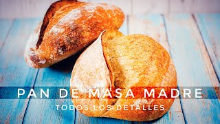 CÓMO HACER PAN DE MASA MADRE AMASADO [upl. by Mcleroy]