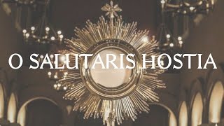 O Salutaris Hostia  Catholic Latin Hymn [upl. by Zoilla626]