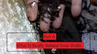 Talbot Express Part 6 Damp Repairs What Is Really Behind Your Walls [upl. by Koval]