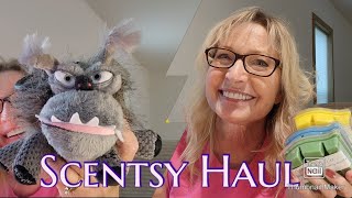 Combined Scentsy Haul  No Buy  Budget Update [upl. by Palocz]