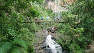 Purling Brook Falls  Springbrook National Park [upl. by Enidualc698]