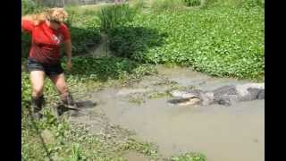 ZZs swamp tour at Zams and Thibodeaux his gator [upl. by Gary]