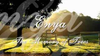 Enya  The Memory of Trees [upl. by Aliemaj]