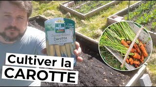 Comment cultiver la CAROTTE 🥕 [upl. by Jaret]