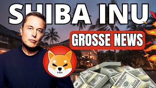 🦊 Shiba Inu la GROSSE news qui va BURN un max de SHIB [upl. by Aryhs]